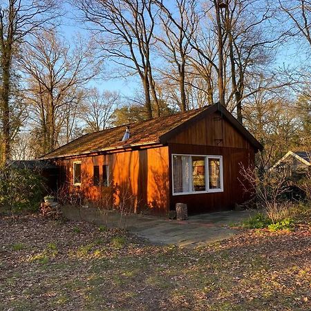 Basic Natuurhuisje Ommen/Beerze Villa Exteriör bild