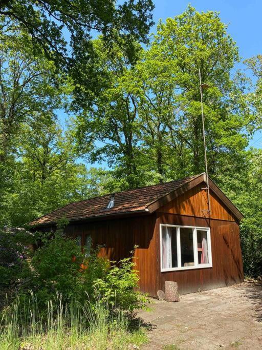 Basic Natuurhuisje Ommen/Beerze Villa Exteriör bild