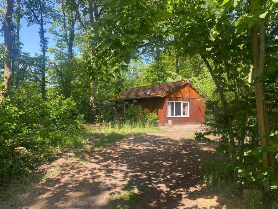 Basic Natuurhuisje Ommen/Beerze Villa Exteriör bild