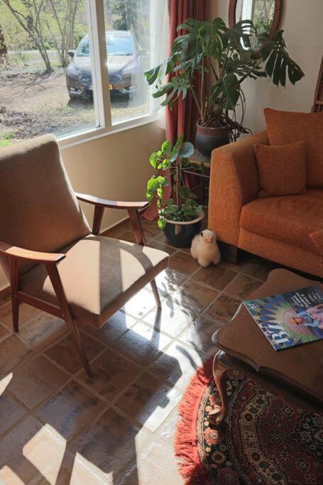 Basic Natuurhuisje Ommen/Beerze Villa Exteriör bild