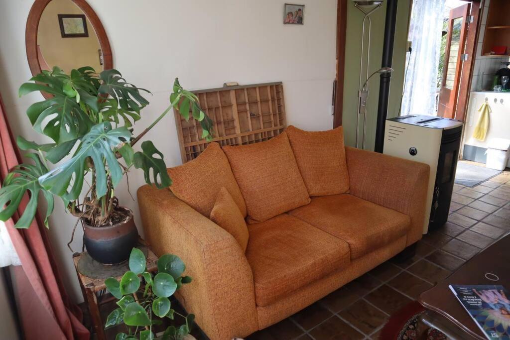 Basic Natuurhuisje Ommen/Beerze Villa Exteriör bild